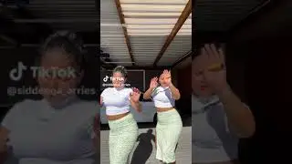 SIDDEEQA ARRIES & FEEQA TIKTOK - NV FUNK (COLOURED TIKTOK) #subscribe #shorts