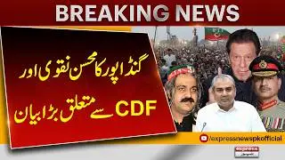 Ali Amin Gandapur Issues Major Statement About Mohsin Naqvi and CDF | Pakistan News
