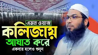 হৃদয় ছোয়া কন্ঠে নতুন ওয়াজ মাওলানা ইসমাঈল বুখারী কাশিয়ানী ওয়াজ ২০২৪  Ismail Bukhari Kashiani Waz E675