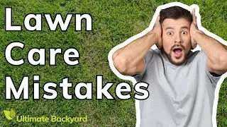 10 Biggest Lawn Care Mistakes (+ How to Fix Them)