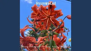Relaxing Morning Wake Up Alarm, January Twenty-Second (Instrumental Acoustic Classical Lofi...