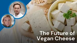 Ingredion on Shaping the Future of Vegan Cheese Innovation