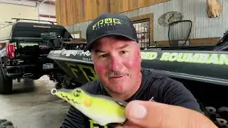 It's time to get Froggy!! The NEW Sonic BOOM!!