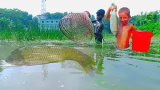 Amazing Fish Trapping System | Best Polo Fishing With Bamboo Tools Teta Trap | Catching Fish Video.