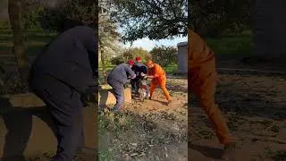 He Cut the Tires&hellip; Then 😱 - Part 2 #youtubeshorts #suspensestories