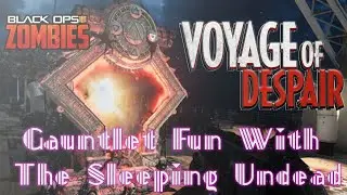 No Strike Duo Run Voyage Of Despair Gauntlet With Tokey Pokey ;)  ( Black Ops 4 Zombies )