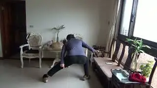 FOLLOWING THREE DIFFERENTS MOVEMENTS OF LITTLE TIGER SWALLOWS HOW TO TRAIN AND USE.