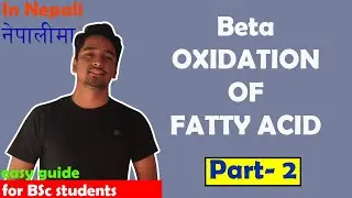 Beta Oxidation of Fatty Acid | Part-2 | Nepali Explanation
