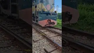 Train entering loop line. #shorts #ytshorts #loopline  #train