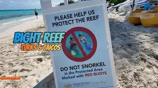 Bight Reef 'Coral Gardens' Turks & Caicos 2025 4k walking tour