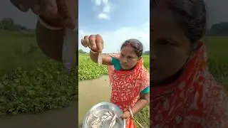 Unique hook fishing in the canal catching fish using small fish bait #fishingvideo #shortvideo #fish