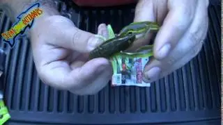 YUM START A FEEDING FRENZY CRAWBUG