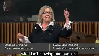 Elizabeth speaks on the Conservative carbon tax motion