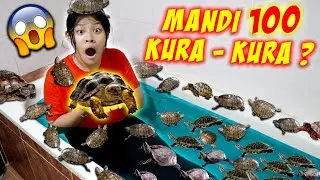 MANDI BARENG 100 KURA-KURA ? BERENANG DI WC DIKEJAR HEWAN INI ! Drama Lucu | CnX Adventurers