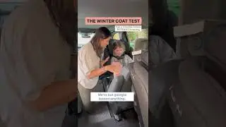 Keep your child warm and safe this winter. The coat test #carcrash #carseat #momlife #carseatsafety