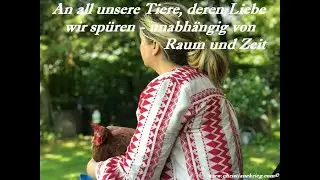 Tierkommunikatorinnen-Talk Nr. 6, traumatisierte Tiere (Teil 1), Tipps, Beispiele und mehr