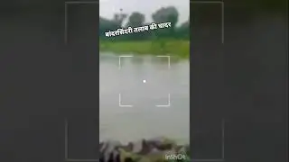 🚨Bandar sindri ke liye alert 🚨 #funny #comedy #alert #video #barish #trending #danger #pani #audio