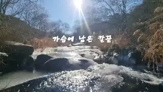 가슴에 남은 칼끝🎧작사 : Trace (흔적) / 작곡 : Suno ai