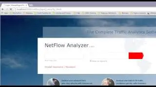 NetFlow Analyzer Hang