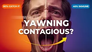 Why Yawning Is Contagious (And Why Some People Are Immune)