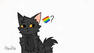 Eclair noir et Etoile du tigre sont GAY?!   (VIVE LES LGBT🏳️&zwj;🌈)