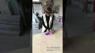 Face Planter | Cute Girl Face Planter Making ideas | Balcony flower pot hanging | plastic bottles as