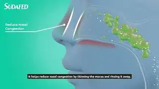 How does it work? │ SUDAFED&reg; Natural Relief Blocked Nose Spray