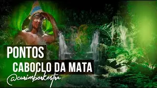 Pontos Cantados para o Caboclo da Mata