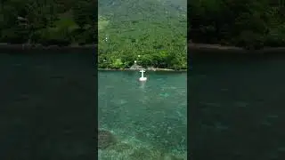 Hidden Travel Secrets: The Sunken Cemetery on Camiguin Island, Phillipines #travel #philippines