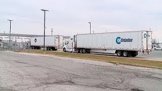 Celadon Bankruptcy to Idle 4,000 Workers, 3,300 Trucks