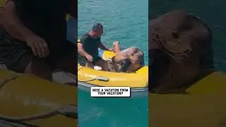 Best Fails This Month!