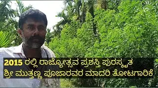 ರಾಜ್ಯೋತ್ಸವ ಪ್ರಶಸ್ತಿ ಪುರಸ್ಕೃತ ಶ್ರೀ ಮುತ್ತಣ್ಣ ಪೂಜಾರವರ ಮಾದರಿ ತೋಟಗಾರಿಕೆ
