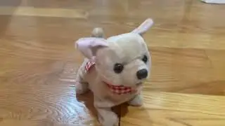 Walking Chihuahua dog toy￼