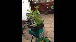 Bosch 2200 HP Shredder - Laurel 2