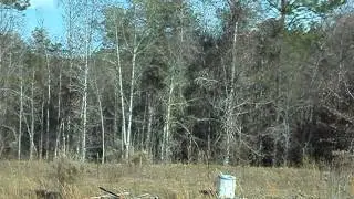 Shooting them pesky cinder blocks with my rifle!