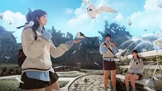 [BDO] Mediah Node War | 1 Oct 2024