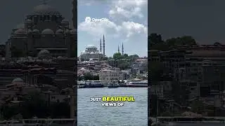 Why We Took the $1 Istanbul Ferry - Muslim Family Travel Hack #halaltravel   #muslimtravel #istanbul