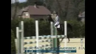Galou.mov