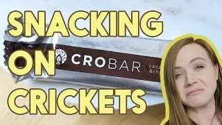 Cricket Flour Snack Taste Test! (Simon hates me now)