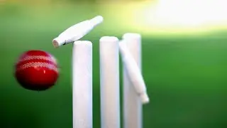 Australian set to become first transgender international cricketer at Women&rsquo;s T20 World Cup