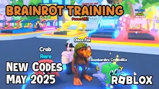 Roblox Brainrot Training New Codes May 2025