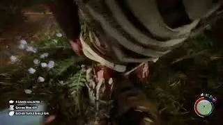 livezinha jogando sons of the forest e talvez conversando com o samuca.