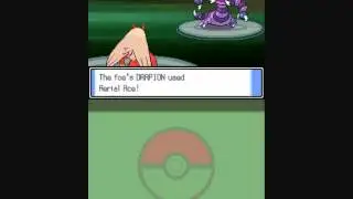 Pokemon Platinum Elite Four Aaron