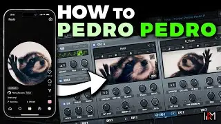How to Create the Viral 'Pedro Pedro' Bass in Serum | EDM Raccoon Trend Sound Design