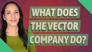 What does the Vector company do?