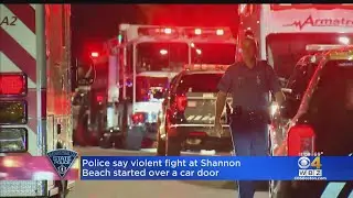 Police say violent fight at Shannon Beach started over a car door