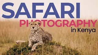 A REALLY WILD Safari Photography Course in Kenya