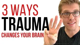 3 Ways Trauma Changes Your Brain (PTSD & Post Traumatic Stress Disorder)