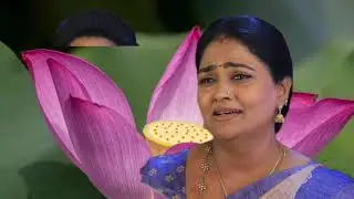 Pandiyan store upcoming episode review 10th January 2025