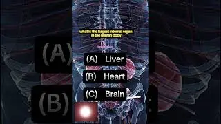 This is the largest internal organ in the human body  #health #education #nursing